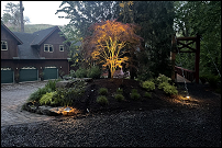 Glowing landscape in Springfield, Oregon