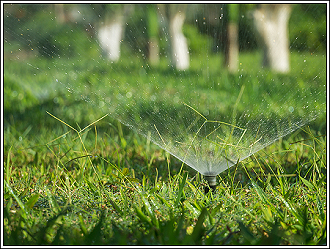 Sprinkler on a lawn in Springfield, Oregon