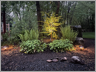 Flower bed at night with outdoor lighting