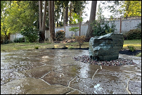 Backyard water feature, Eugene, Oregon