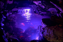 Water feature lit up at night